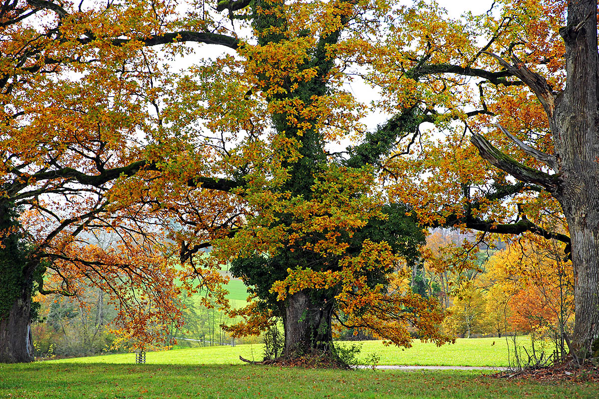 Autumn Hike in the Swiss Jura (8)