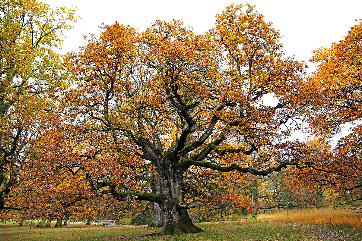 Autumn Hike in the Swiss Jura (9)