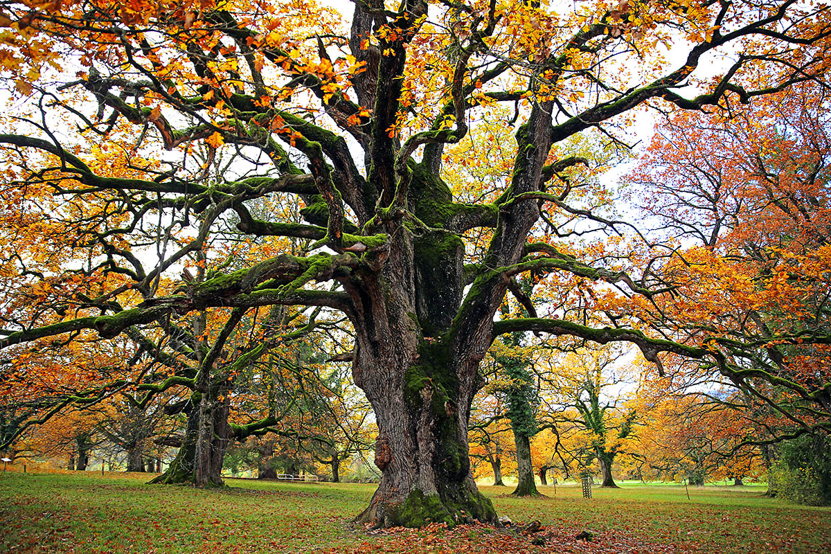 Autumn Hike in the Swiss Jura (10)