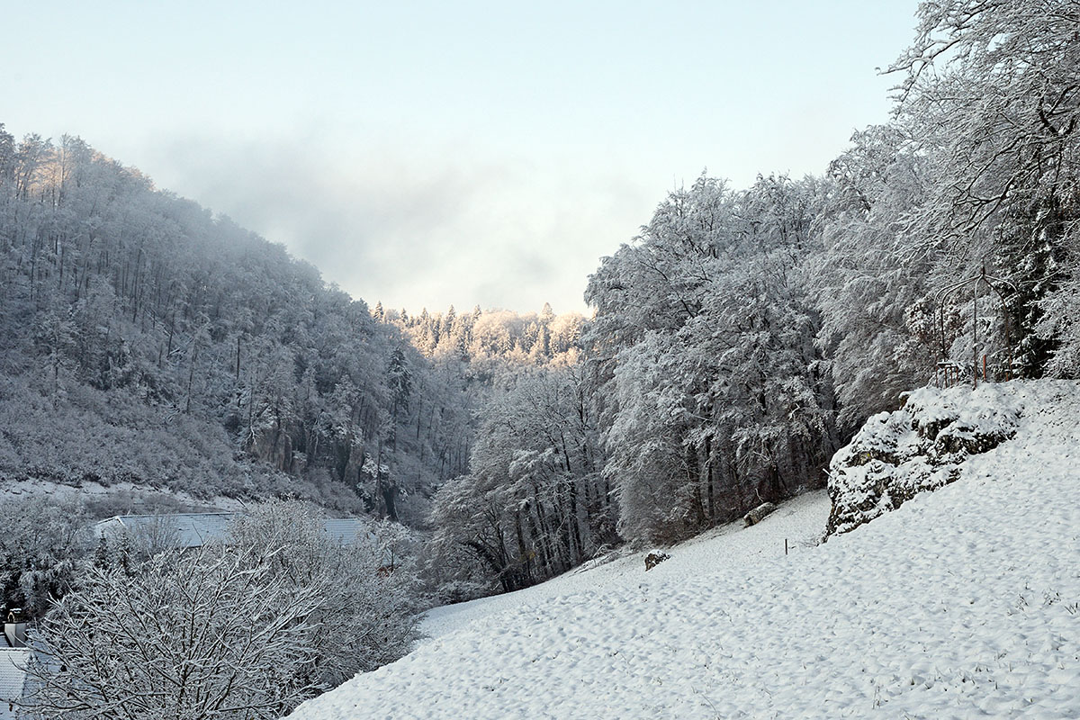 Snow Hike in the Swiss Jura Mountains (16)