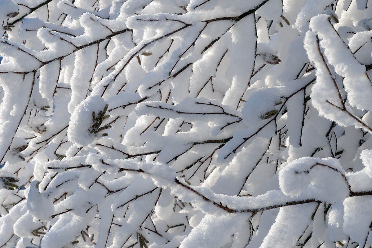 Snow Hike in the Swiss Jura Mountains (17)