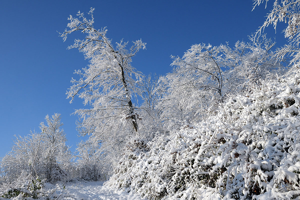 Snow Hike in the Swiss Jura Mountains (18)