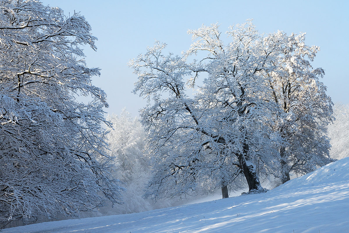 Snow Hike in the Swiss Jura Mountains (19)