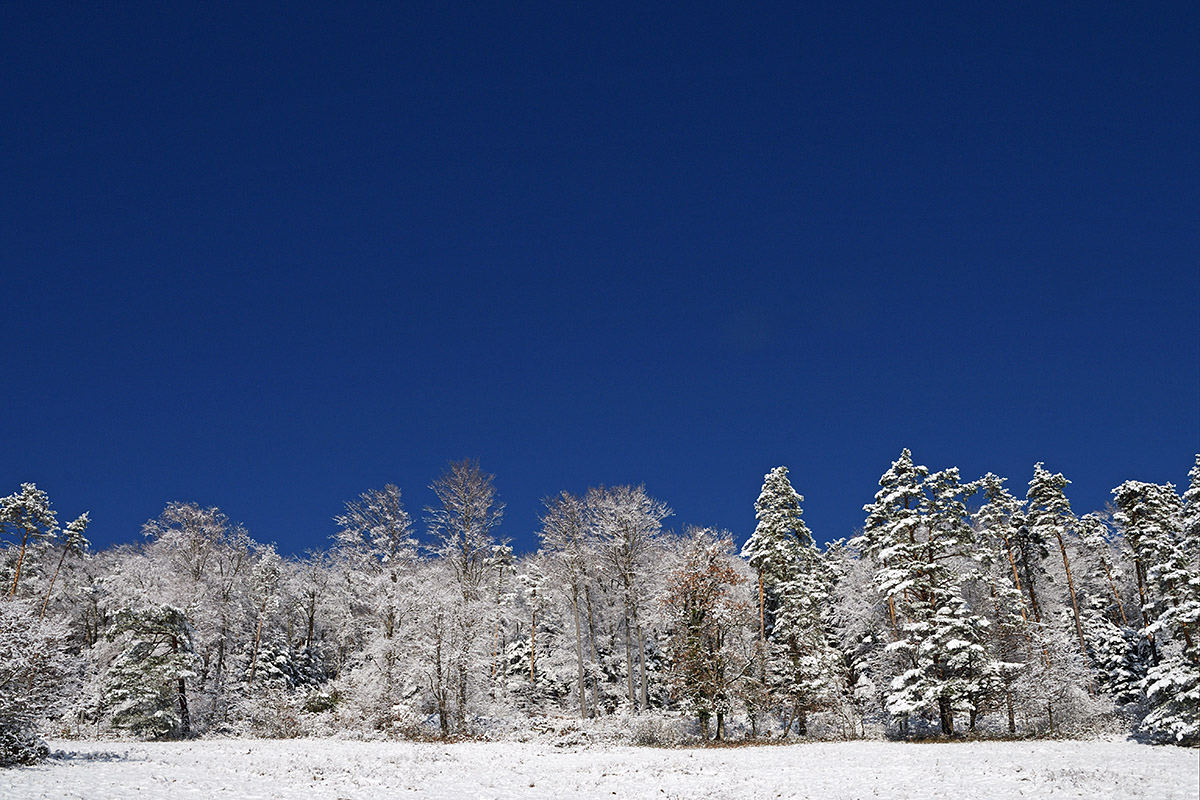 Snow Hike in the Swiss Jura Mountains (22)