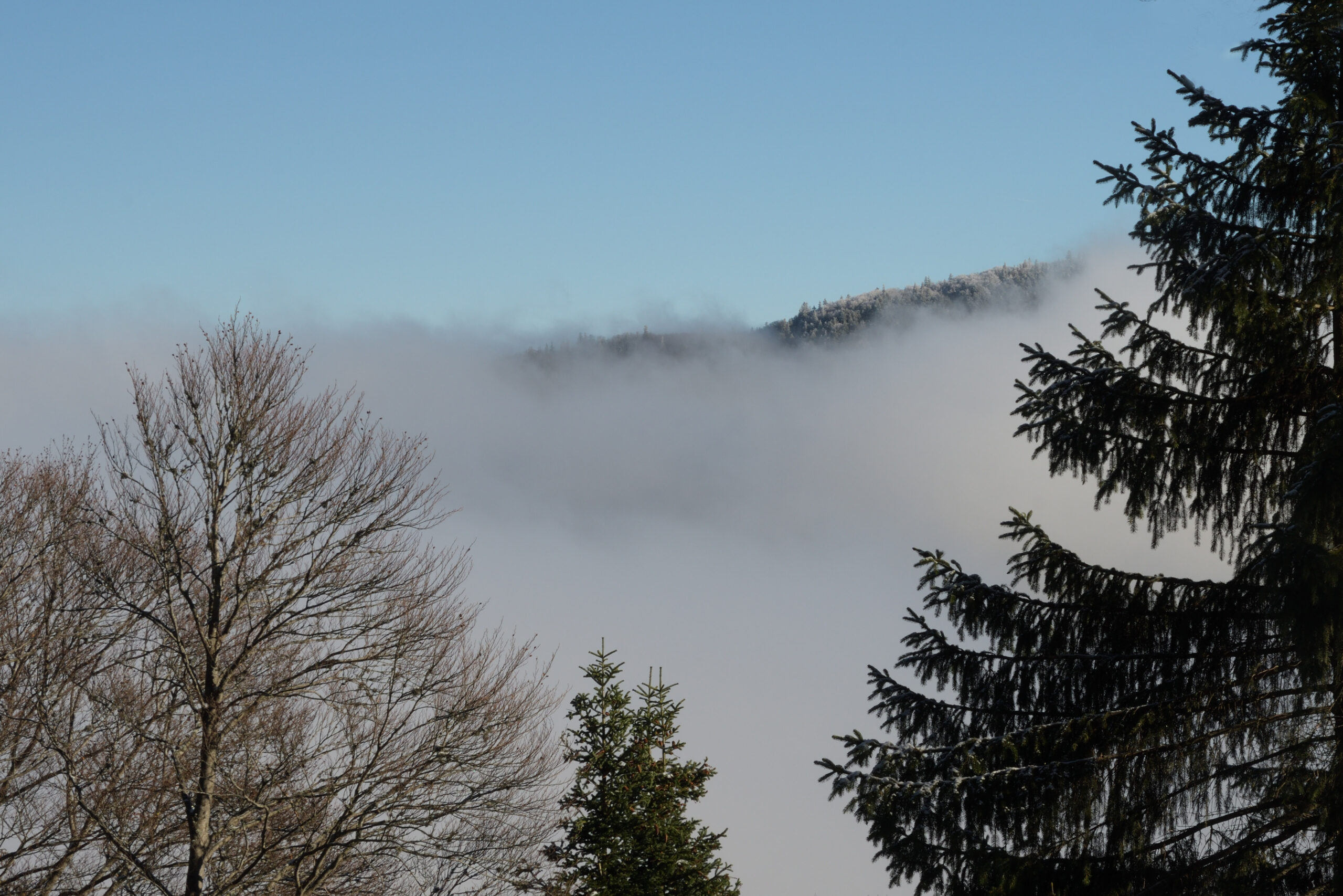 At the Fog Line in the Swiss Jura (7)