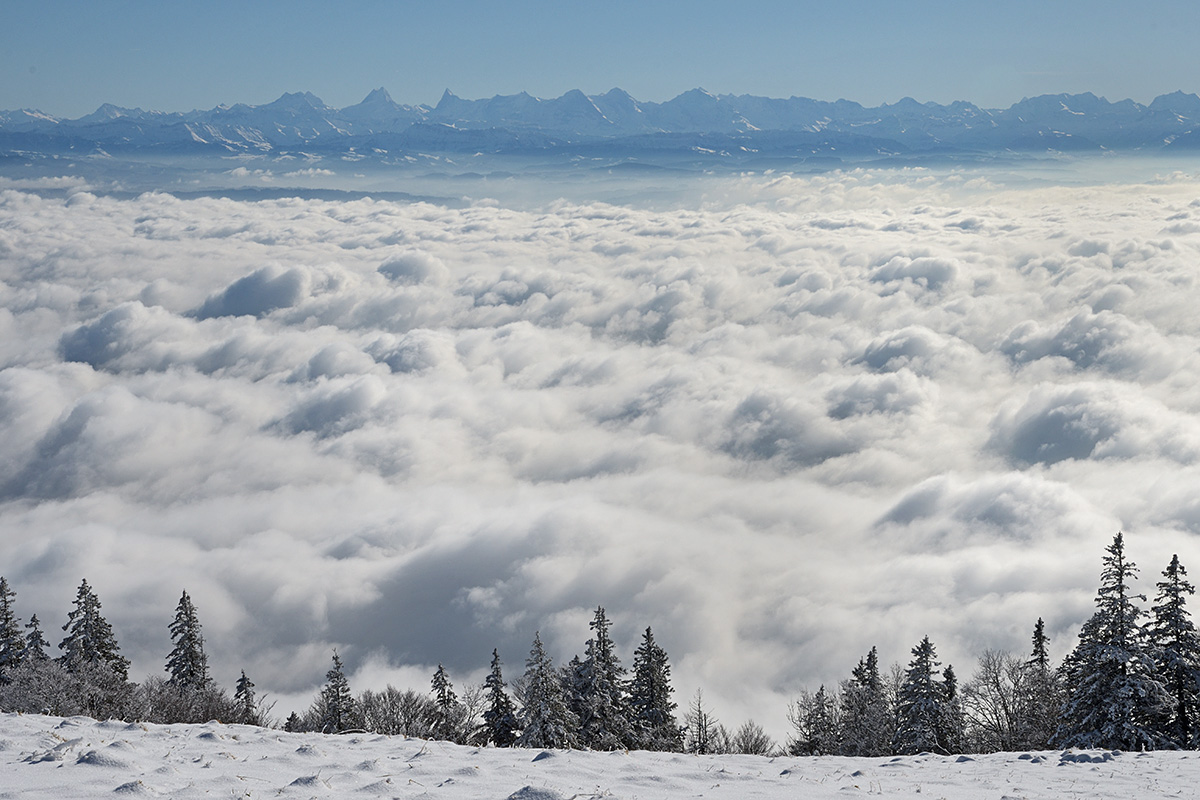 At the Fog Line in the Swiss Jura (9)