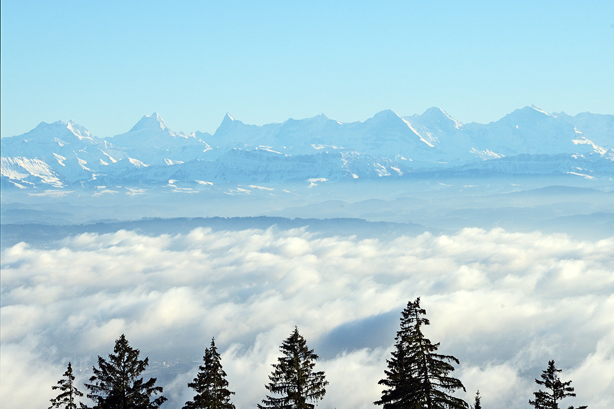 At the Fog Line in the Swiss Jura (11)