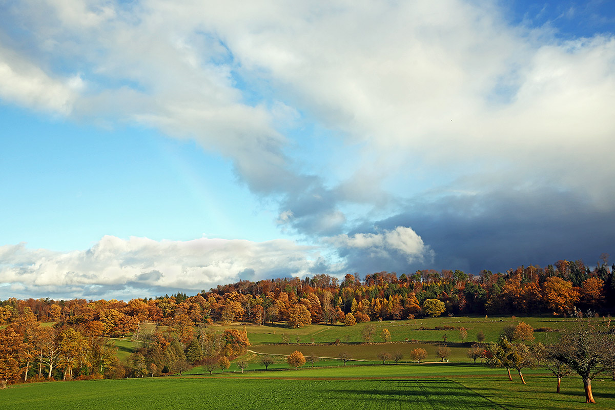 Autumn Hike in the Swiss Jura (11)