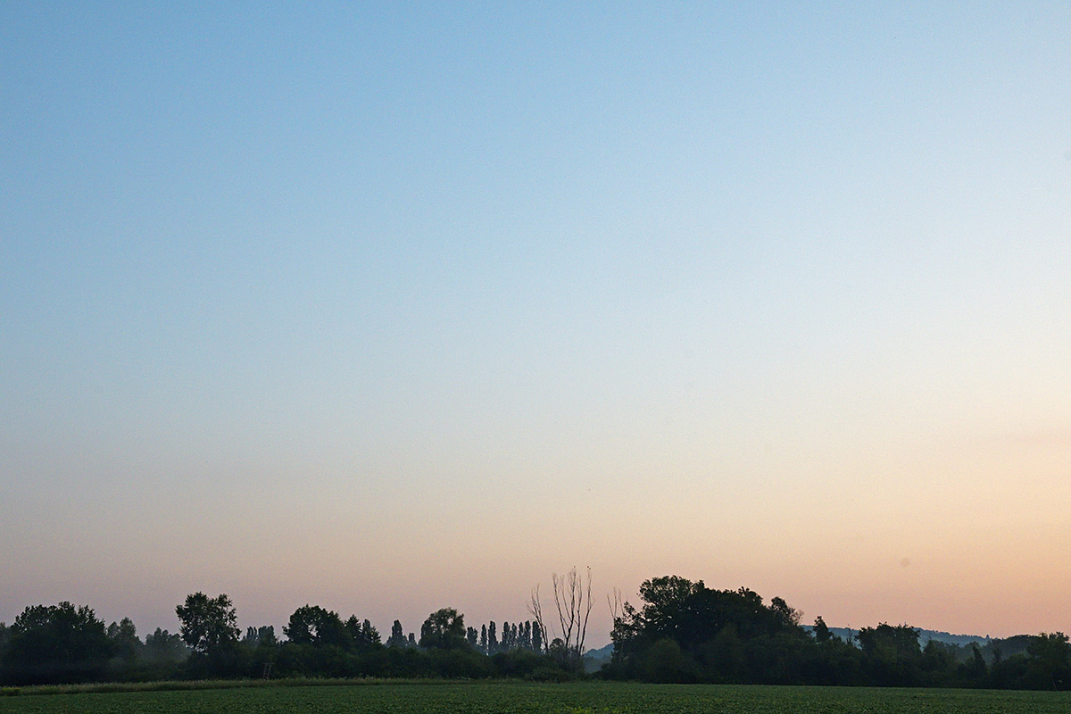 Daybreak in the Petite Camargue Alsacienne (6)