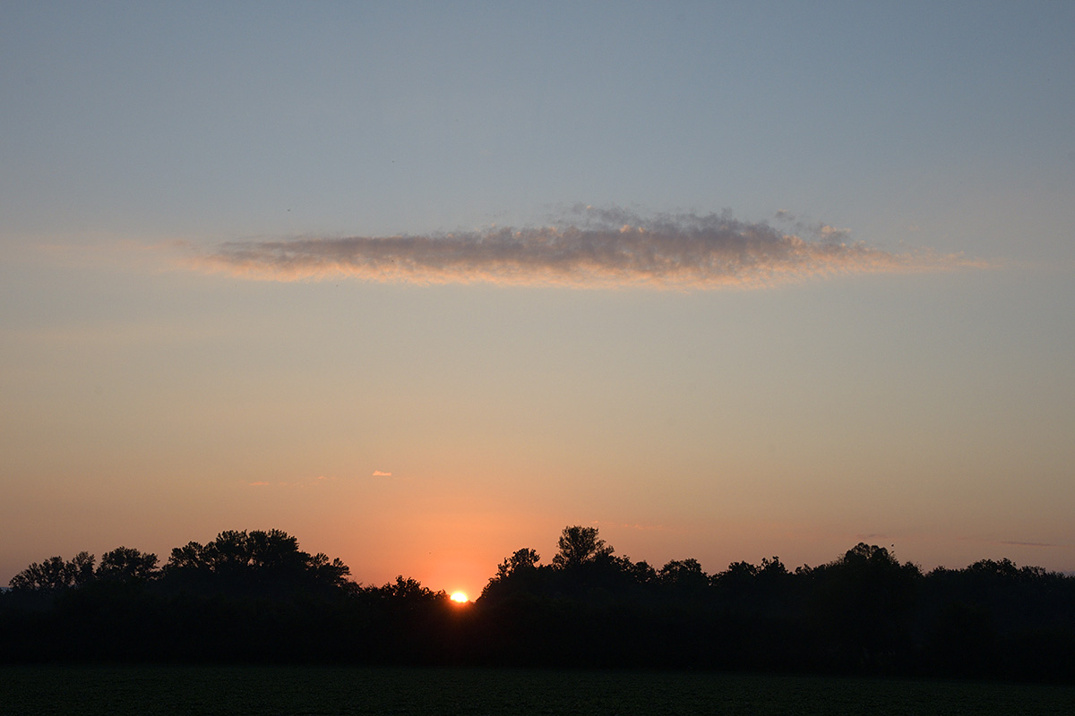 Daybreak in the Petite Camargue Alsacienne (7)