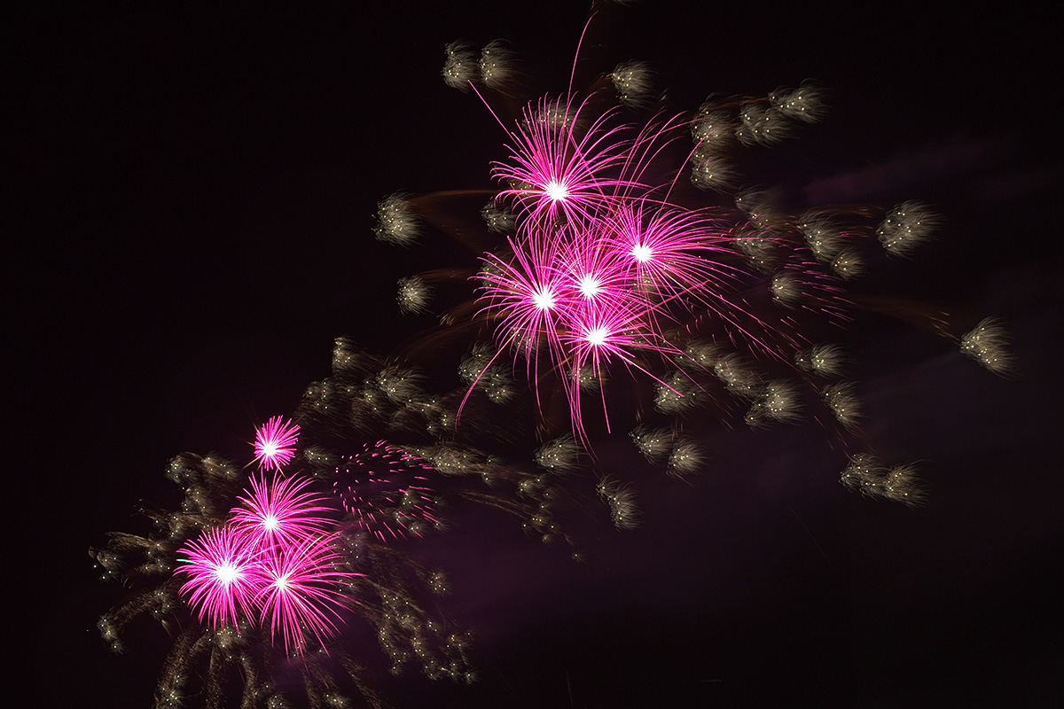 Swiss National Day Celebrations on the Rhine (13)