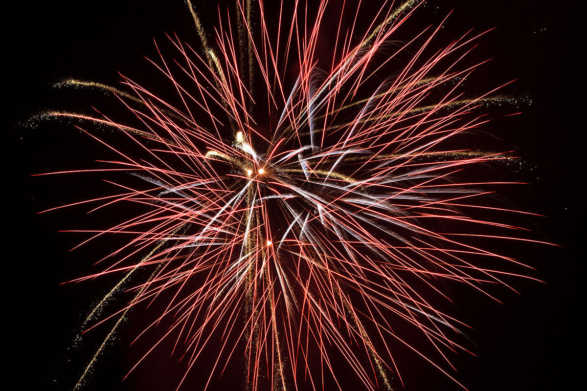 Swiss National Day Celebrations on Bruderholz (7)