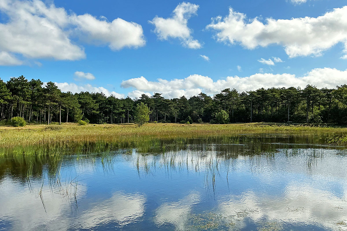 Vlieland – A Dutch Car-Free Island in the North Sea (45)