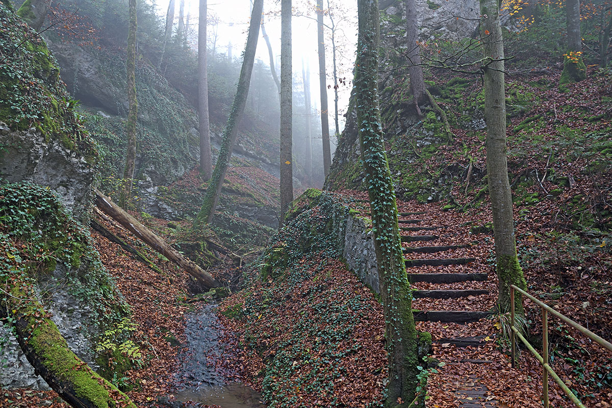 Fog in the Swiss Jura Mountains (3)