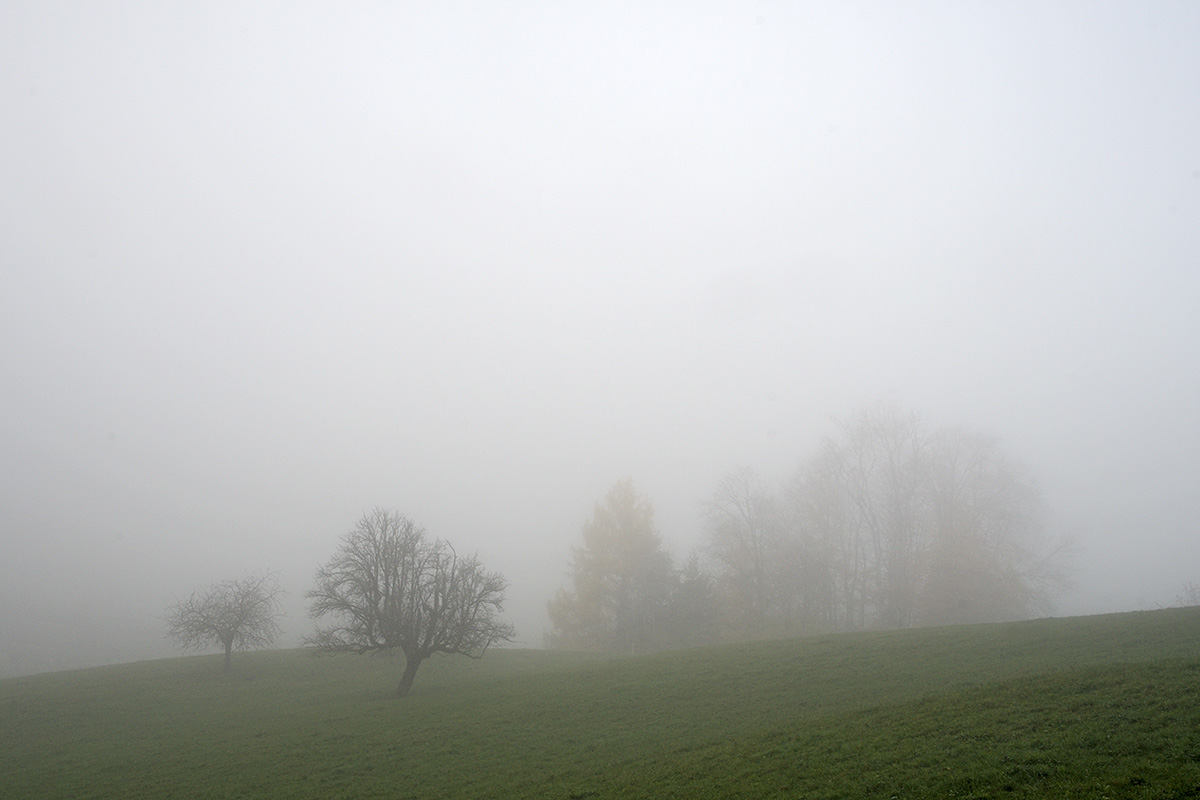 Fog in the Swiss Jura Mountains (4)