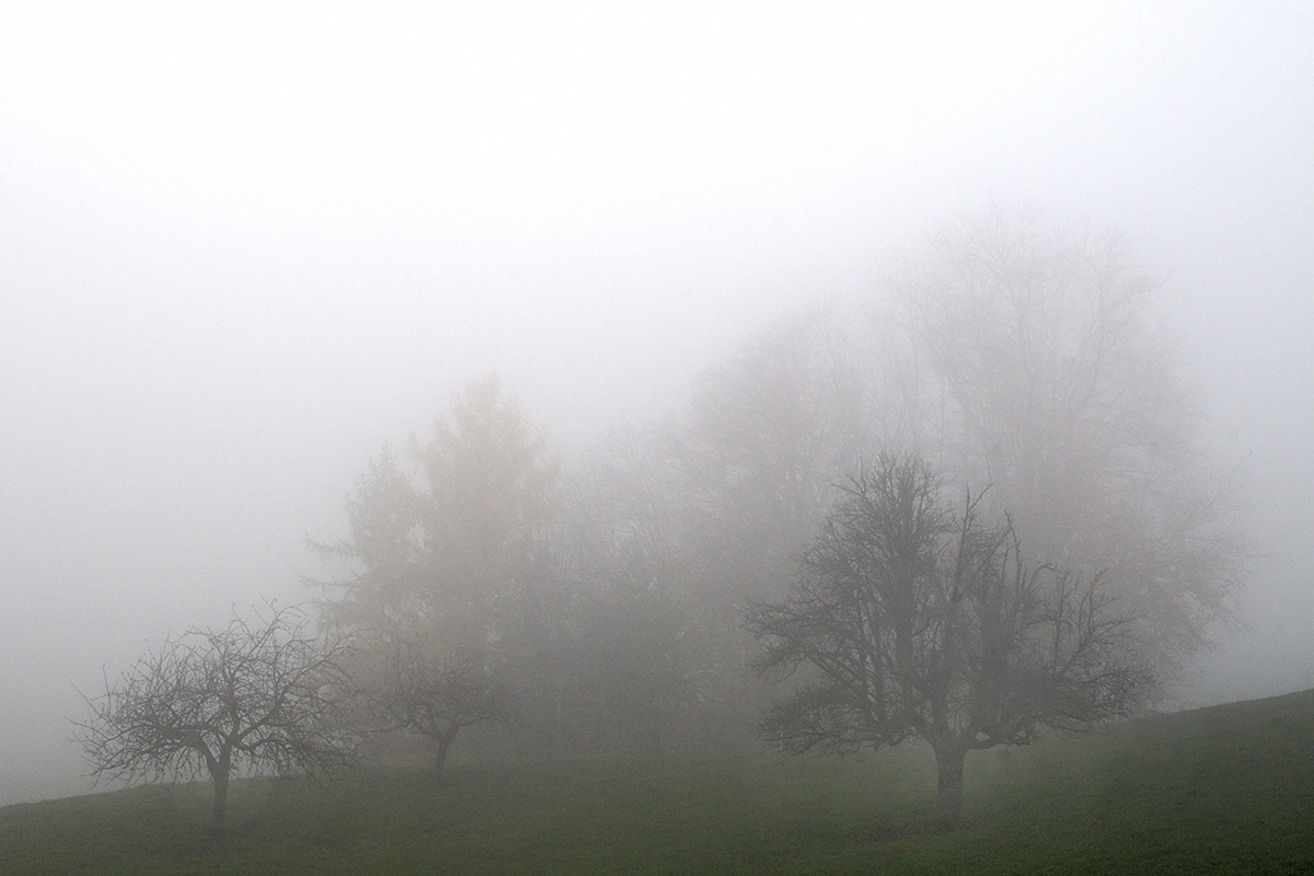 Fog in the Swiss Jura Mountains (5)