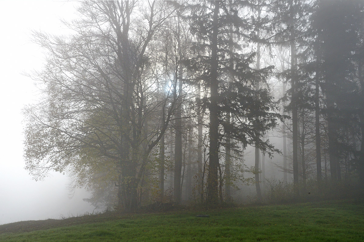 Fog in the Swiss Jura Mountains (6)