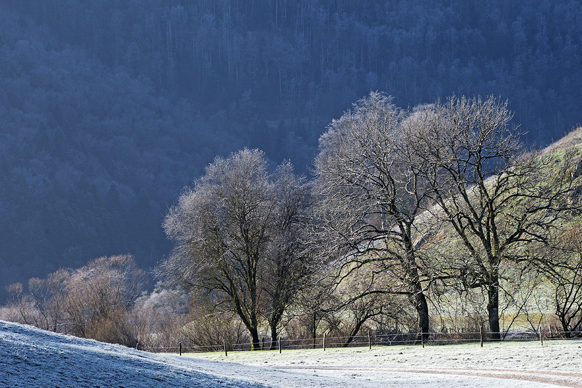 Doubs Nature Park (10)