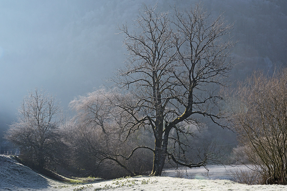 Doubs Nature Park (12)