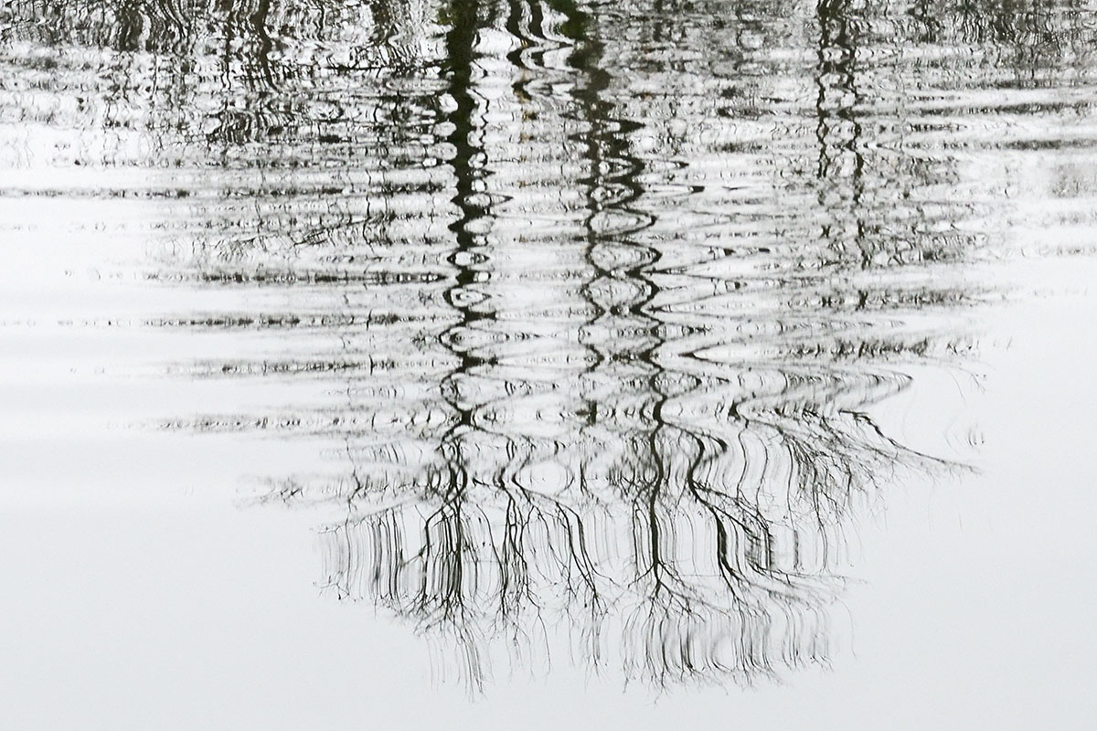 Reflections in Water (2)