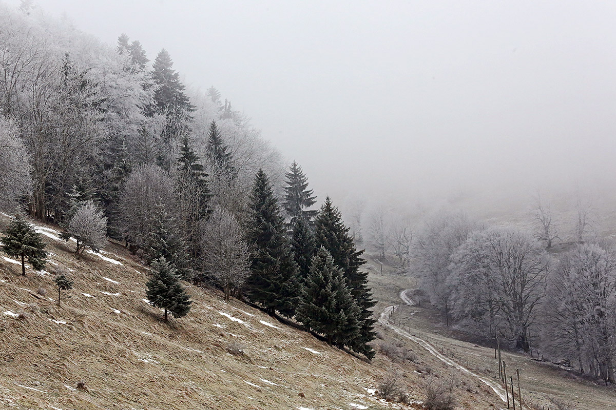 Snow Hike in the Swiss Jura Mountains (25)