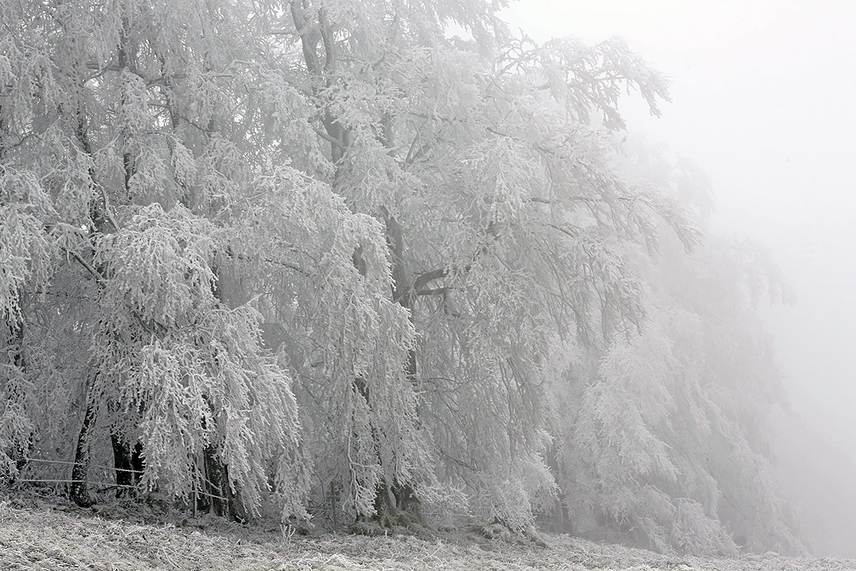 Snow Hike in the Swiss Jura Mountains (29)