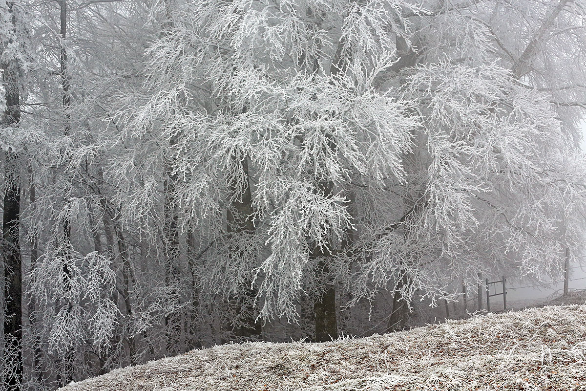 Snow Hike in the Swiss Jura Mountains (30)