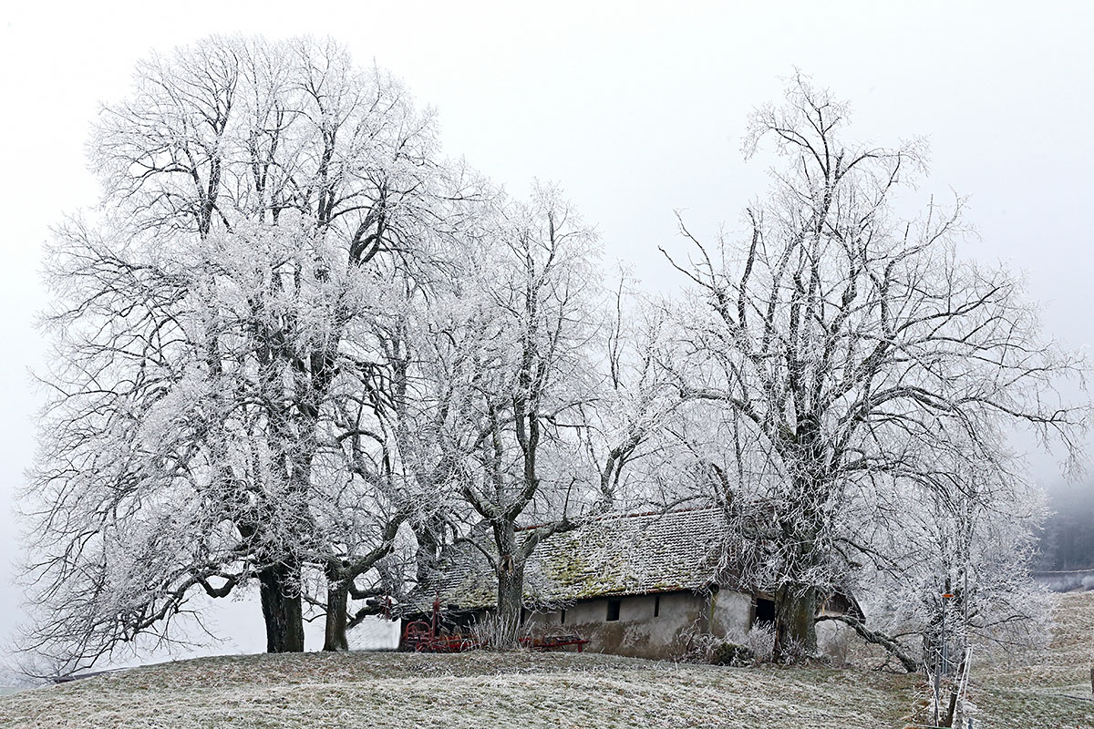 Snow Hike in the Swiss Jura Mountains (31)